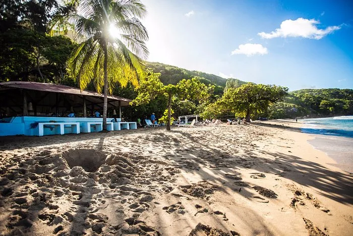 Haïti : Cormier