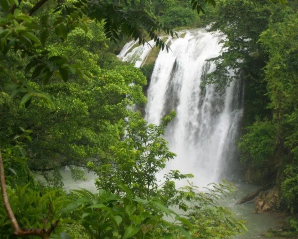 Ayiti: Pèl Zantiy yo