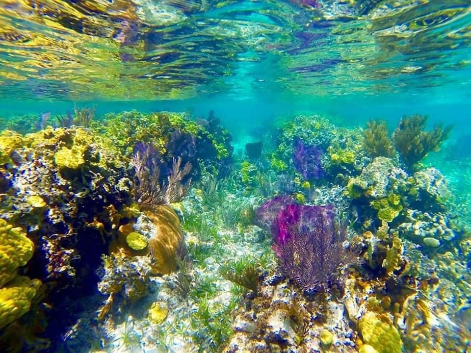 Haïti : île de La Gonâve Haïti : île de La Gonâve