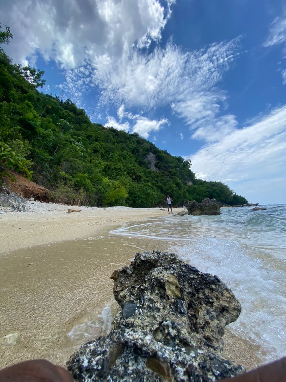 Youn nan plaj tigwav